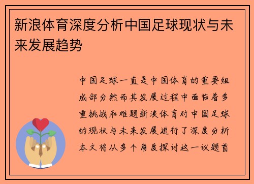 新浪体育深度分析中国足球现状与未来发展趋势