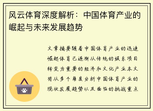 风云体育深度解析：中国体育产业的崛起与未来发展趋势